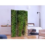  Paravan - Ivy wall 135x172 | shoptok.hr