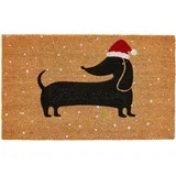 Predpražnik Xmas 75x45cm / jazbečar / kokos, (5000267452)