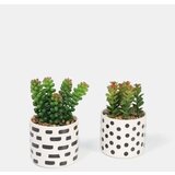 Sinsay Ukrasne biljke 2 pack | shoptok.hr