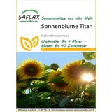 Saflax Sončnice Titan Cene
