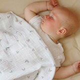 BabyOno Tetra plenice Muslin Medo, bež | Shoptok.si
