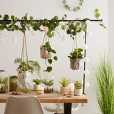 Modern Living Ogrodje Za Dekoracijo Mize Rack | Shoptok.si
