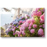  Slike na platnu roze CVEĆE_157-11 (moderne slike na platnu) | ePonuda.com