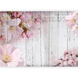 Artgeist Fototapeta Apple Blossoms, 100x70cm | Shoptok.si
