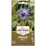  Boraga "Officinale" | Shoptok.si