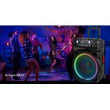  Aktivni zvučnik (s 2 UHF bežična mikrofona, SD, Bluetooth, FM, USB, LED) 60 W | shoptok.hr