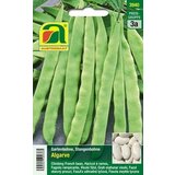 AUSTROSAAT visoki fižol "Algarve" | Shoptok.si