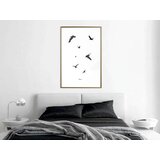  Poster - Birds 30x45 | shoptok.hr
