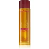 ALCINA nutri shine šampon za suhe in poškodovane lase 250 ml za ženske