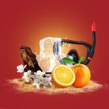 Old Spice Deep Sea gel za prhanje za moške 250 ml | Shoptok.si