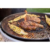 Weber Performer Smart žar na oglje Ø 57 crna | Shoptok.si