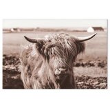  Slika - A Scottish Cow in Sepia 120x80 Premium Print | shoptok.hr