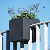 rephorm Posoda za rastline "Steckling Cube" - Grafit (antracit) | Shoptok.si