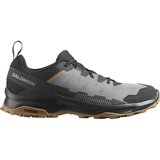 Salomon ardent, muške cipele za planinarenje, crna L47233900 Cene'.'