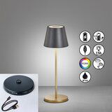 Fischer & Honsel Crna/u zlatnoj boji LED stolna lampa s metalnim sjenilom (visina 34 cm) Cosenza – | shoptok.hr