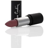 Pierre Cardin Paris Cosmetics pierre cardin mat chiffon touch ruž za usne rosewood