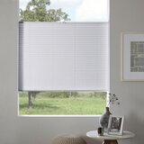 Homeware PLISE pol prosojno 80/130 cm | Shoptok.si