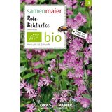 Samen Maier Divji cvet Silene dioica Cene