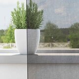 Voile zavjese s petljama 2 kom tamnosive 140x225 cm | Shoptok.si