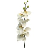 Dekordom cvet ORCHID 78cm 11518-0 - Cream - NNT cene