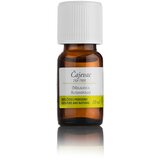  Eterično olje Čajevec (Melaleuca alternifolia), 10 ml Cene