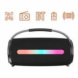 Manta zvučnik BT 5.3, 20W, FM radio, LED RGB, baterija, ručka, crni SPK140GO!!! | shoptok.hr