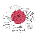 Atelier Cologne Camélia Intrépide parfemska voda uniseks 100 ml | shoptok.hr