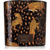 Vila Hermanos Jungletopia Savage Africa mirisna svijeća 620 g | shoptok.hr