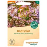  Glavnata solata "Merveille des quatre saisons" | Shoptok.si