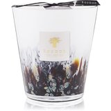 Baobab Rainforest Tanjung mirisna svijeća 16 cm Cijene