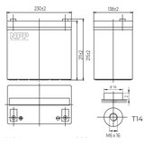 NPP NPG12V-55Ah, GEL BATTERY, C20=55AH, T14, 230*138*208*212, 15KG, Light grey Slike