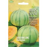 ReinSaat Sladka melona "Charentais" Cene