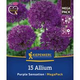 KIEPENKERL Mega pakiranje okrasnega luka "Purple Sensation" - 15 k. Cene