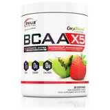 Genius Nutrition Aminokiselina BCAA-X5, Kivi-jagoda, 360 g Cene