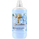 Coccolino omekšivač za veš blue 1,45L cene