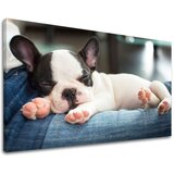  Slike na platnu životinje (moderne slike na platnu) | ePonuda.com