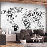  Samoljepljiva foto tapeta - Retro Continents (Grey) 441x315 Cijene