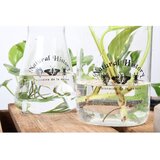 Esschert Design Steklena vaza (višina 12 cm) Natural History – | Shoptok.si