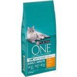 Purina ONE Adult piletina i cjelovite žitarice - 9,75 kg | shoptok.hr