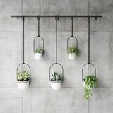 Umbra Plastična ukrasna tegla za cvijeće 5 kom za bilje/viseća i zidna ø 7,5 cm Triflora – | shoptok.hr