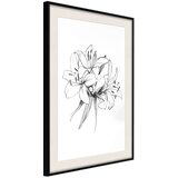  Poster - Sketch of Lillies 40x60 | shoptok.hr