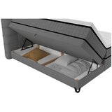 Premium Living Postelja Boxspring Carmen, Temno Siva, 180x200 | Shoptok.si