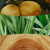 WoodWick Yuzu & Vetiver mirisna svijeća s drvenim fitiljem 453.6 g | shoptok.hr