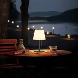  LED prigu&amp;scaron;iva solarna lampa LED/2W/5V USB 1200 mAh IP44 bela/crna Slike
