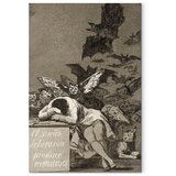  Slika - Francisco Goya – The Sleep of Reason Produces Monsters 20x30 Premium Print | shoptok.hr