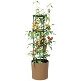  Uzgajivač rajčice Naturo ECO Ø 29 x 106 cm WPC | shoptok.hr