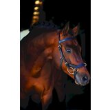 Horseware Ireland Rambo Micklem multi-uzda "black" - WB | Shoptok.si
