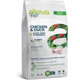 Diusapet alleva hrana za štence holistic mini puppy&junior - piletina i pačetina 2kg Cene