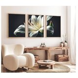 WALLXPERT dekorativna slika iz 3 dela Huhu224 35 x 50 | Eponuda.com