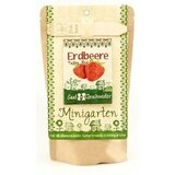 Die Stadtgärtner Mini vrtna jagoda "Tubby Red" | Shoptok.si